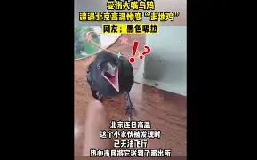 体育平台-情绪莫名其妙的就崩溃了